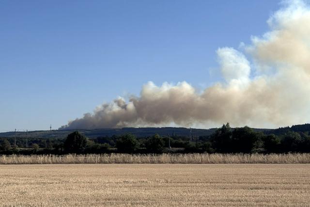 14 August 2026, North Rhine-Westphalia, Hürtgenwald: Thick smoke is rising above the Hürtgenwald from a forest fire. Early this morning, the evacuation of the Gey district, home to some 1,800 people, began. The latest reports indicate that the flames are about 400 meters from the town. Photo: Gabriele Löbel/dpa