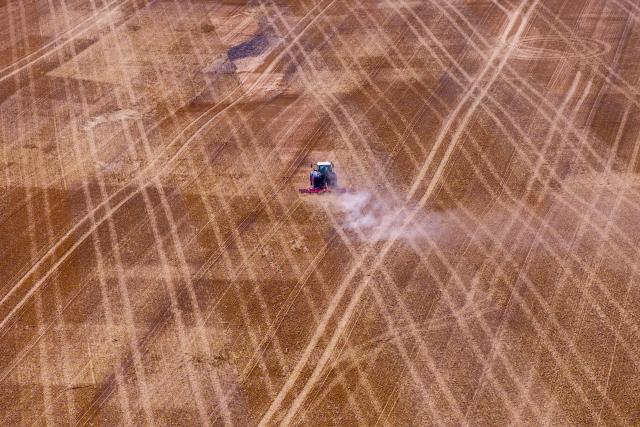 14 August 2026, Mecklenburg-Western Pomerania, Stoellnitz: A tractor pulls a harrow across a field, kicking up a cloud of dust. The ongoing drought is causing crop losses and disrupting fieldwork in German agriculture. Photo: Jens Büttner/dpa