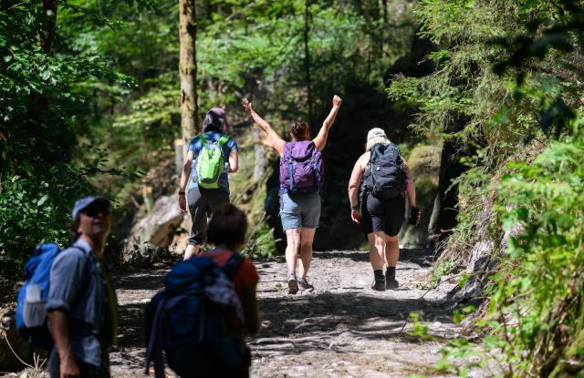 14 August 2026, Saxony, Hohnstein: Hikers walk along the reopened trail in Amselgrund toward Rathewalde in Saxon Switzerland. A localized storm had left a trail of destruction in the spa town of Rathen.A view of the storm damage in Amselgrund in Saxon Switzerland. A localized storm had left a trail of destruction in the spa town of Rathen. Photo: Robert Michael/dpa