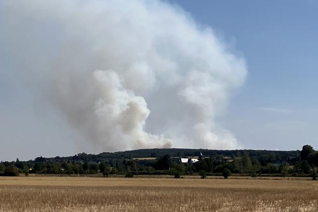14 August 2026, North Rhine-Westphalia, Huertgenwald: Smoke rises from the wildfire in the Huertgen Forest. Photo: Volker Danisch/dpa