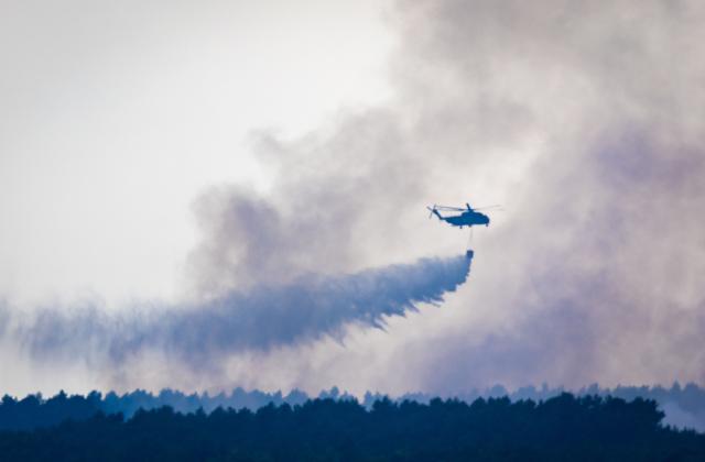16 July 2026, Mecklenburg-Western Pomerania, Kratzeburg: Thick plumes of smoke are rising from the wildfire in Mueritz National Park. The major fire on a former military training area has now spread to 269 hectares. Approximately 375 emergency responders are currently on the scene. Photo: Jens Büttner/dpa