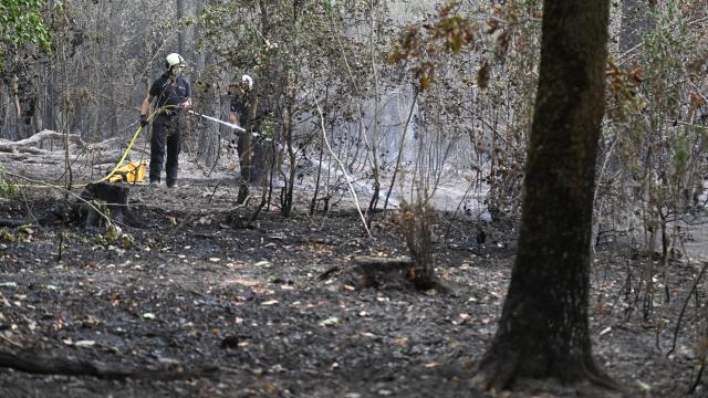 15 August 2026, North Rhine-Westphalia, Kleinhau: Firefighters are on the scene of a wildfire in the Hürtgenwald. Several hundred hectares of forest are ablaze. Photo: Federico Gambarini/dpa