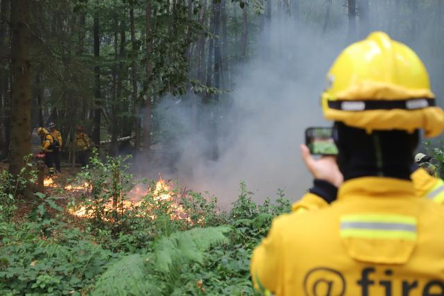 15 August 2026, North Rhine-Westphalia, Hürtgenwald: A firefighter documents the operation to fight the wildfire in the Hürtgenwald. Several hundred hectares of forest are ablaze. Photo: Sascha Thelen/dpa