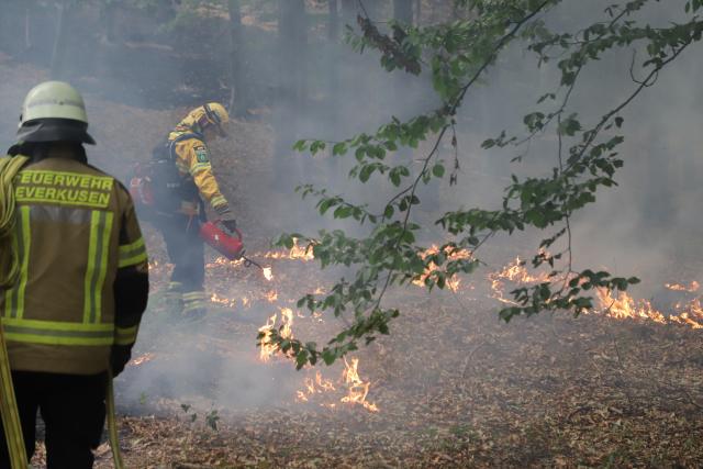 15 August 2026, North Rhine-Westphalia, Hürtgenwald: Firefighters are on the scene of a wildfire in the Hürtgenwald. Several hundred hectares of forest are ablaze. Photo: Sascha Thelen/dpa