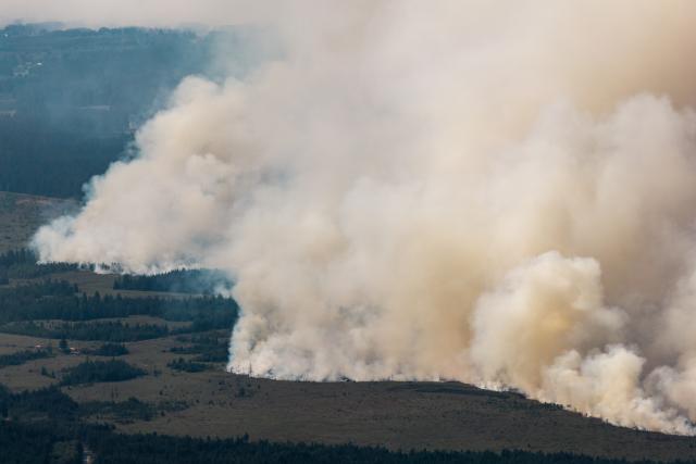 16 August 2026, North Rhine-Westphalia, ---: A large wall of smoke can be seen rising from Germany toward the massive wildfire in Belgium's Hohes Venn region. Photo: Christoph Reichwein/dpa