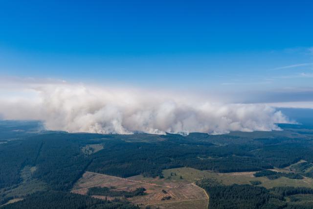 16 August 2026, North Rhine-Westphalia, ---: A large wall of smoke can be seen rising toward the massive wildfire in Belgium's Hohes Venn region. Photo: Christoph Reichwein/dpa
