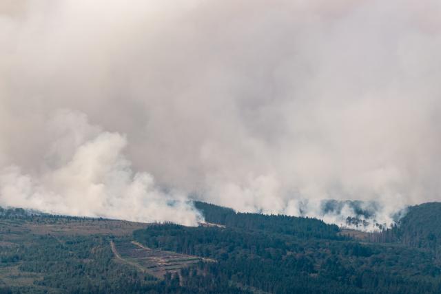 16 August 2026, North Rhine-Westphalia, ---: A large wall of smoke can be seen rising toward the massive wildfire in Belgium's Hohes Venn region. Photo: Christoph Reichwein/dpa