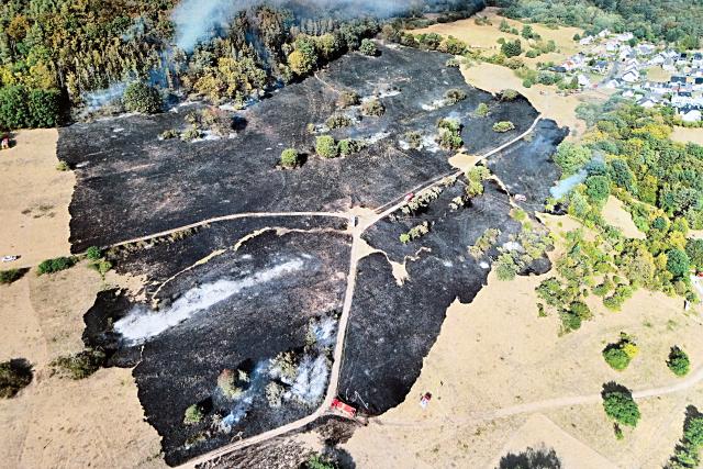 16 August 2026, Bavaria, Waldaschaff: Burned fields can be seen following a wildfire near Waldaschaff. According to the fire department, the fire in Waldaschaff burned about 29 hectares. Photo: Ralf Hettler/dpa