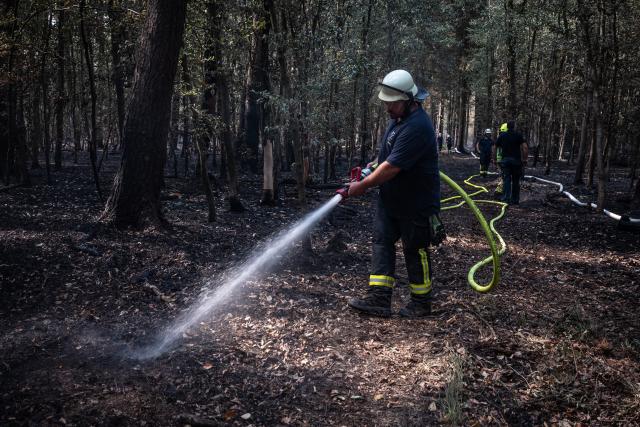 16 August 2026, North Rhine-Westphalia, Huertgenwald: Firefighters extinguishe smouldering remains in a wooded area. Photo: Christian Knieps/dpa