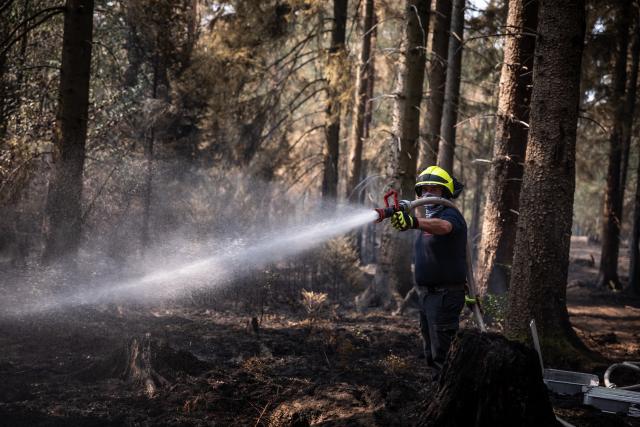 16 August 2026, North Rhine-Westphalia, Huertgenwald: A firefighter extinguishes smouldering remains in a wooded area. Photo: Christian Knieps/dpa
