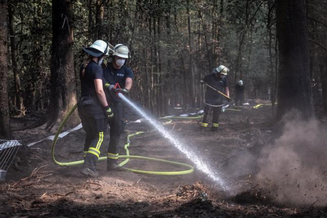 16 August 2026, North Rhine-Westphalia, Huertgenwald: Firefighters extinguish smouldering remains in a wooded area. Photo: Christian Knieps/dpa