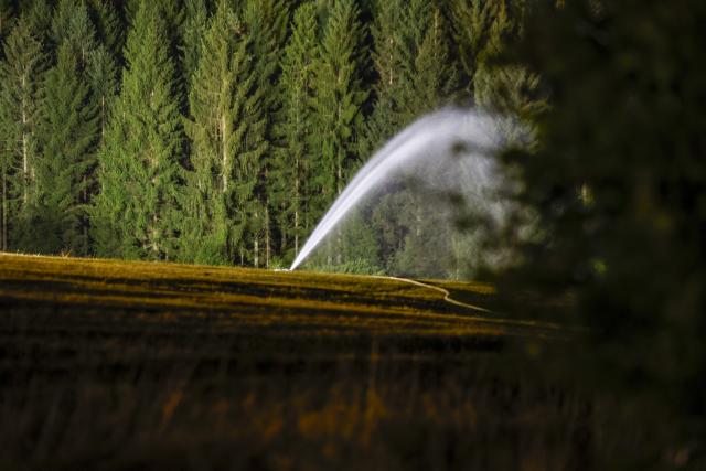 16 August 2026, North Rhine-Westphalia, Monschau: A meadow located near the burning High Fens is being doused with water as a precautionary measure. Large parts of the High Fens along the border with Germany are affected by the flames. Photo: Thomas Banneyer/dpa