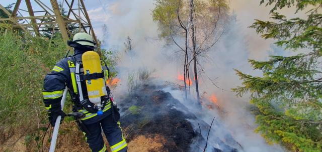 15 August 2026, Baden-Württemberg, Schramberg: Firefighters extinguish a forest fire near Schramberg in the Rottweil district. The fire spread significantly overnight. According to a police spokesperson, approximately ten to twelve hectares of forest are now burning-an area roughly the size of 14 soccer fields. Photo: Christian Klemm/dpa