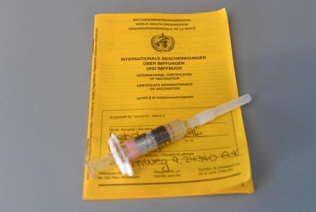 FILED - 26 March 2019, Schleswig-Holstein, Aukrug: FILE PHOTO - A vaccination pass and a syringe are seen on the table in a doctor's office. Photo: Carsten Rehder/dpa