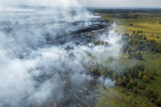 17 August 2026, North Rhine-Westphalia, Monschau: Plumes of smoke drift over the massive wildfire in the High Fens. Photo: Kevin Schößler/dpa