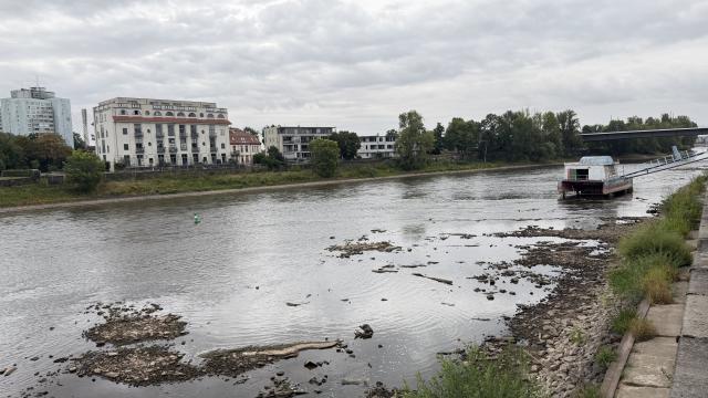 18 August 2026, Saxony-Anhalt, Magdeburg: View across the Elbe during low water. The water level of the Elbe has dropped to 34 centimeters at the river bridge in the state capital. Photo: Simon Kremer/dpa