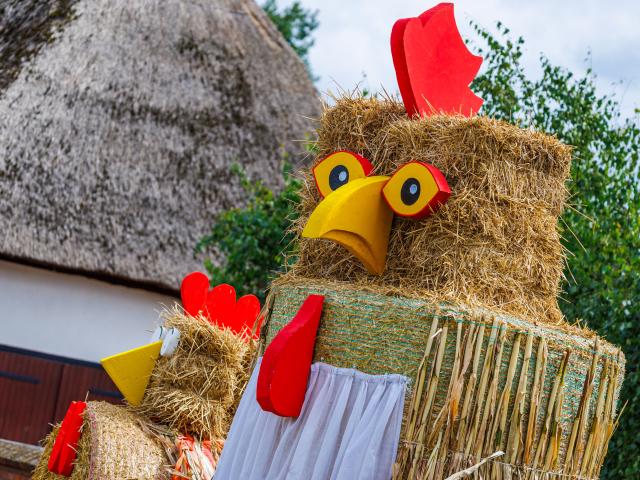 18 August 2026, Mecklenburg-Western Pomerania, Boizenburg/ Elbe: Two oversized chickens made from straw bales advertise the harvest festival in the village of Bahlen along the main road. Photo: Jens Büttner/dpa