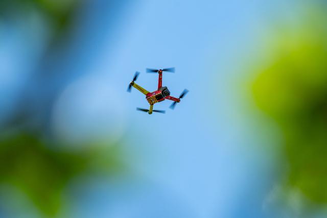 19 August 2026, Bavaria, Roding: A drone flies over a forested area. The system is being showcased as part of a project for early detection of forest fires using AI-powered sensors. It is a cross-border EU project with partners from Germany and the Czech Republic. Photo: Armin Weigel/dpa