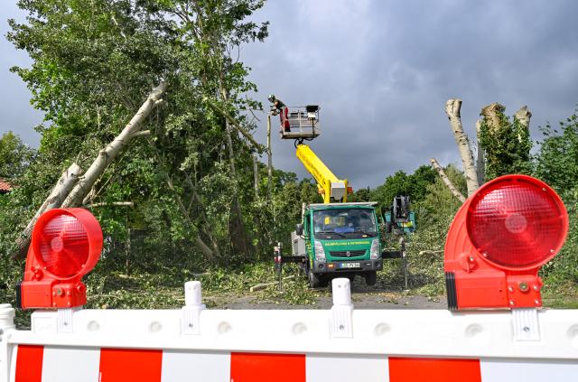 20 August 2026, Brandenburg, Fuerstenwalde/Spree: A worker tries to fix the  damage on trees caused by a tornado. The German Weather Service has confirmed that a tornado struck Fuerstenwalde/Spree in Brandenburg. Photo: Patrick Pleul/dpa