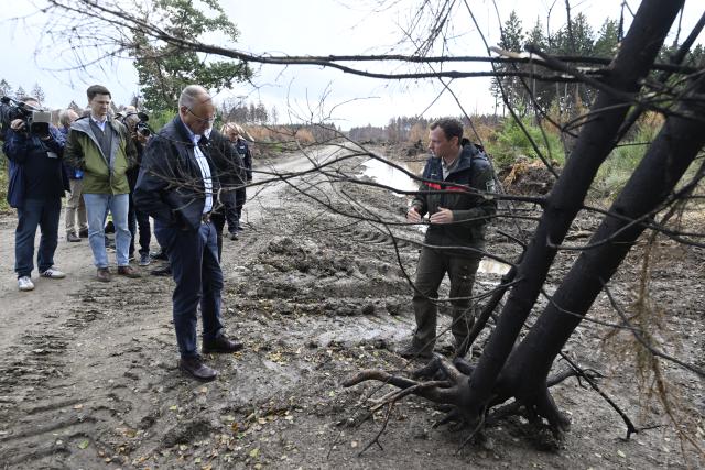 22 August 2026, North Rhine-Westphalia, Hürtgenwald: German Chancellor Friedrich Merz visits an area in Huertgenwald, that was affected by a devastating wildfire. Two days after the devastating wildfire in the Eifel region was completely extinguished, Chancellor Merz is visiting the area to thank the first responders. Photo: Roberto Pfeil/AFP-Pool/dpa