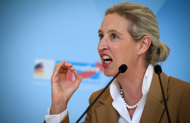 FILED - 07 July 2026, Berlin: FILE PHOTO - Chairwoman of the Alternative for Germany (AfD) parliamentary group in the Bundestag Alice Weidel comments on current issues ahead of the AfD parliamentary group's meeting. Photo: Bernd von Jutrczenka/dpa