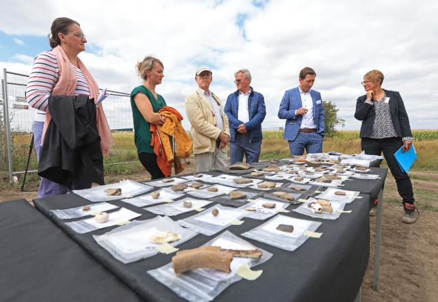 24 August 2026, Saxony-Anhalt, Halberstadt: Staff members of the Saxony-Anhalt State Office for the Preservation of Historical Monuments and Archaeology (LDA) present the initial findings from an investigation of a medieval abandoned settlement in Halberstadt. As part of the ongoing development of the Halberstadt Ost industrial park, the LDA is conducting archaeological excavations. Photo: Matthias Bein/dpa