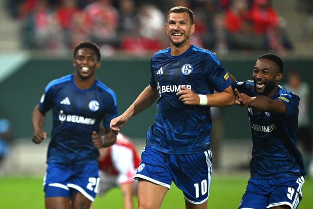 24 August 2026, Saxony-Anhalt, Halle/Saale: Schalke's Edin Dzeko (C) celebrates scoring his side's second goal with teammates during the German DFB Cup first round soccer match between Hallescher FC and FC Schalke 04 at Erdgas Sportpark. Photo: Hendrik Schmidt/dpa - WICHTIGER HINWEIS: Gemäß den Vorgaben der Bundesliga bzw. des DFB Deutscher Fußball-Bund ist es untersagt, in dem Stadion und/oder vom Spiel angefertigte Fotoaufnahmen in Form von Sequenzbildern und/oder videoähnlichen Fotostrecken zu verwerten bzw. verwerten zu lassen.