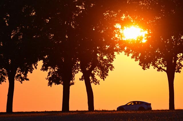 26 August 2026, Brandenburg, Sieversdorf: A car drives down a tree-lined avenue in eastern Brandenburg at sunset. Photo: Patrick Pleul/dpa