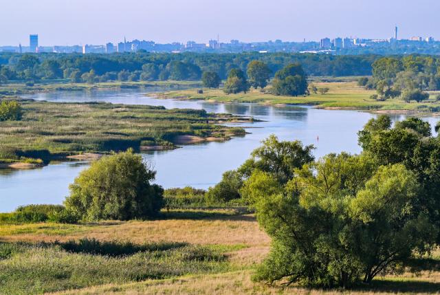27 August 2026, Brandenburg, Lebus: Morning scenery over the countryside, with the Oder River-which forms the German-Polish border-and the city of Frankfurt (Oder) in the background. According to the DWD, after a spell of pleasant weather, heavy showers and thunderstorms are expected in the region later this week. Photo: Patrick Pleul/dpa