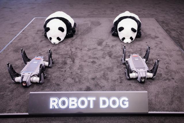 03 September 2026, Berlin: Robot dogs from Mova will be on display during the second press day of the IFA 2026 electronics trade show. IFA 2026 will take place from Friday, September 4, 2026, through Tuesday, September 8, 2026. Photo: Christoph Soeder/dpa