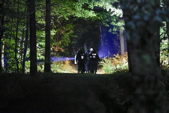 04 September 2026, North Rhine-Westphalia, Niederzier: German police officers search for the suspect in the adjacent Hambach Forest. According to North Rhine-Westphalia (NRW) Interior Minister Herbert Reul, police raided the suspect's vehicle in connection with several acts of sabotage against the German power grid. Photo: Thomas Banneyer/dpa