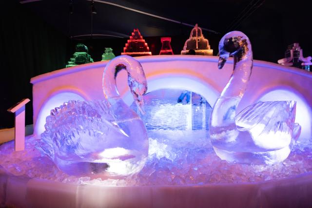 (241222) -- AMSTERDAM, Dec. 22, 2024 (Xinhua) -- An ice sculpture is pictured during a press preview of the Art Below Zero exhibition in Amsterdam, the Netherlands, Dec. 20, 2024. A collection of ice sculptures are displayed at the exhibition to demonstrate Amsterdam's rich history since its founding in 1275. The exhibition runs from Dec. 21, 2024, to March 2, 2025. (Photo by Sylvia Lederer/Xinhua)