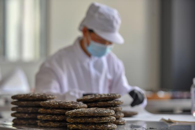 (250509) -- MALIPO, May 9, 2025 (Xinhua) -- A worker works at a tea processing factory in Mengdong Township, Malipo County, southwest China's Yunnan Province, May 8, 2025. Based on rich tea resources and profound tea culture, Malipo's tea industry has become an important pillar industry in its rural revitalization. The industry has created jobs for more than 4,800 households in the county, increasing an average annual income of 6,700 RMB yuan (about 924 U.S. dollars) per household. (Xinhua/Peng Yikai)