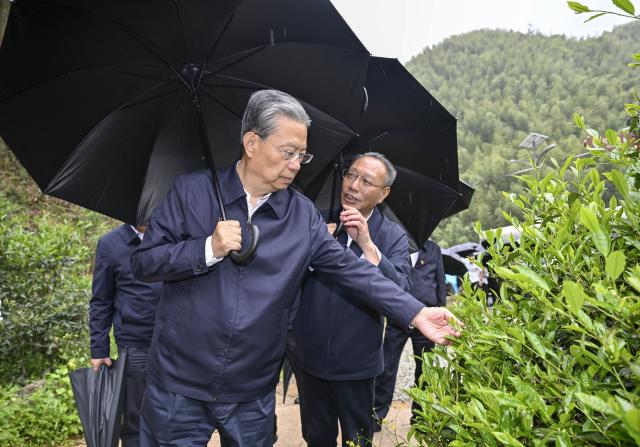(250509) -- FUZHOU, May 9, 2025 (Xinhua) -- Zhao Leji, chairman of the National People's Congress Standing Committee and a member of the Standing Committee of the Political Bureau of the Communist Party of China Central Committee, leads an inspection team to learn about enforcement of the country's Forest Law in Nanping City, southeast China's Fujian Province, May 7, 2025. Zhao conducted an inspection and research tour in Fujian from Wednesday to Friday this week. (Xinhua/Yin Bogu)