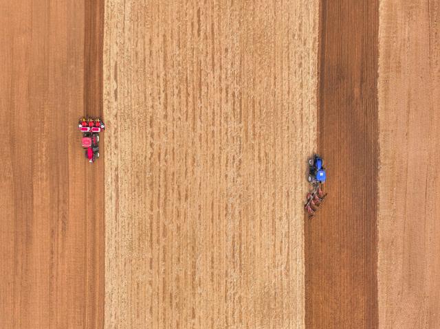 (250511) -- TONGLIAO, May 11, 2025 (Xinhua) -- An aerial drone photo taken on May 9, 2025 shows farmers operating tractors equipped with Beidou navigation system in the fields in Horqin Left Wing Rear Banner of Tongliao City, north China's Inner Mongolia Autonomous Region.
  Benefiting from May's timely rainfalls, Tongliao, a granary of eastern Inner Mongolia, has entered the peak period of corn sowing. It is reported that Tongliao's corn planting area in 2025 is expected to reach 20 million mu (approximately 1.33 million hectares), an increase of 180,000 mu (12,000 hectares) compared to the previous year. (Xinhua/Lian Zhen)