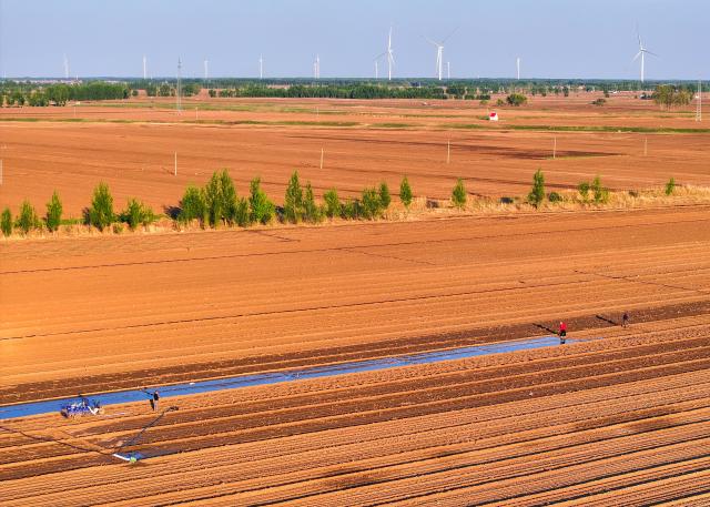 (250511) -- TONGLIAO, May 11, 2025 (Xinhua) -- An aerial drone photo taken on May 10, 2025 shows farmers laying out drip lines in the fields in Kunduhua village in Qianjiadian Town of Horqin District, Tongliao City, north China's Inner Mongolia Autonomous Region.
  Benefiting from May's timely rainfalls, Tongliao, a granary of eastern Inner Mongolia, has entered the peak period of corn sowing. It is reported that Tongliao's corn planting area in 2025 is expected to reach 20 million mu (approximately 1.33 million hectares), an increase of 180,000 mu (12,000 hectares) compared to the previous year. (Xinhua/Lian Zhen)
