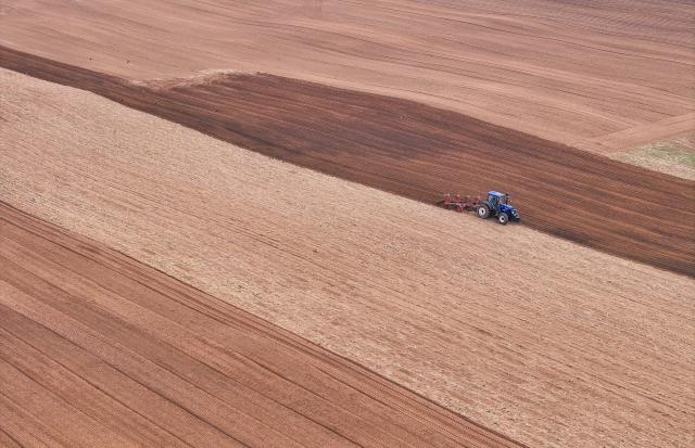 (250511) -- TONGLIAO, May 11, 2025 (Xinhua) -- An aerial drone photo taken on May 9, 2025 shows a farmer operating a tractor equipped with Beidou navigation system for plowing in Horqin Left Wing Rear Banner of Tongliao City, north China's Inner Mongolia Autonomous Region.
  Benefiting from May's timely rainfalls, Tongliao, a granary of eastern Inner Mongolia, has entered the peak period of corn sowing. It is reported that Tongliao's corn planting area in 2025 is expected to reach 20 million mu (approximately 1.33 million hectares), an increase of 180,000 mu (12,000 hectares) compared to the previous year. (Xinhua/Lian Zhen)