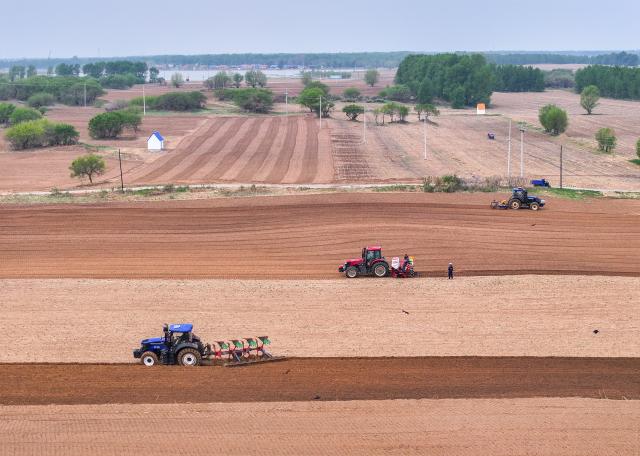(250511) -- TONGLIAO, May 11, 2025 (Xinhua) -- An aerial drone photo taken on May 9, 2025 shows farmers operating tractors equipped with Beidou navigation system in the fields in Horqin Left Wing Rear Banner of Tongliao City, north China's Inner Mongolia Autonomous Region.
  Benefiting from May's timely rainfalls, Tongliao, a granary of eastern Inner Mongolia, has entered the peak period of corn sowing. It is reported that Tongliao's corn planting area in 2025 is expected to reach 20 million mu (approximately 1.33 million hectares), an increase of 180,000 mu (12,000 hectares) compared to the previous year. (Xinhua/Lian Zhen)