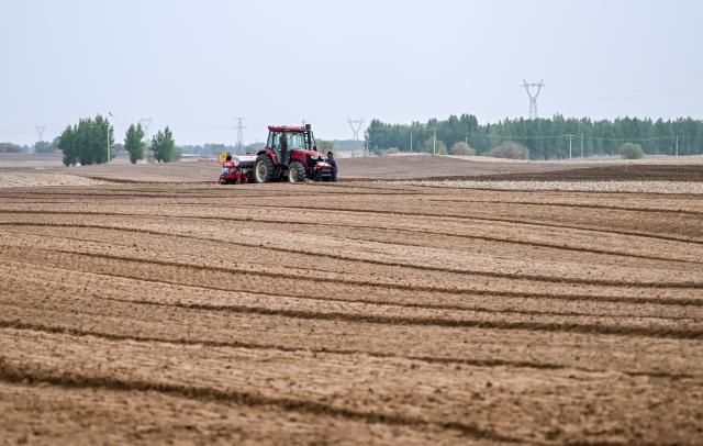(250511) -- TONGLIAO, May 11, 2025 (Xinhua) -- Farmers operate a tractor equipped with Beidou navigation system for sowing in Horqin Left Wing Rear Banner of Tongliao City, north China's Inner Mongolia Autonomous Region, on May 9, 2025.
  Benefiting from May's timely rainfalls, Tongliao, a granary of eastern Inner Mongolia, has entered the peak period of corn sowing. It is reported that Tongliao's corn planting area in 2025 is expected to reach 20 million mu (approximately 1.33 million hectares), an increase of 180,000 mu (12,000 hectares) compared to the previous year. (Xinhua/Lian Zhen)
