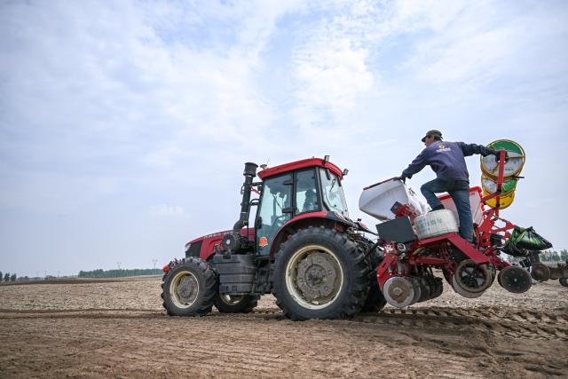 (250511) -- TONGLIAO, May 11, 2025 (Xinhua) -- A farmer operates a tractor equipped with Beidou navigation system for sowing in Horqin Left Wing Rear Banner of Tongliao City, north China's Inner Mongolia Autonomous Region, on May 9, 2025.
  Benefiting from May's timely rainfalls, Tongliao, a granary of eastern Inner Mongolia, has entered the peak period of corn sowing. It is reported that Tongliao's corn planting area in 2025 is expected to reach 20 million mu (approximately 1.33 million hectares), an increase of 180,000 mu (12,000 hectares) compared to the previous year. (Xinhua/Lian Zhen)