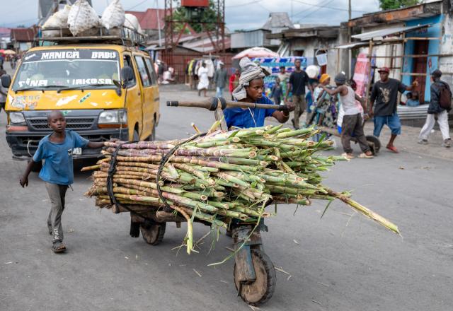 (250512) -- SAKE, May 12, 2025 (Xinhua) -- Residents transport sugarcane at a local market in Sake, a small town located 27 kilometers from Goma, the capital city of North Kivu province in the Democratic Republic of the Congo (DRC), on May 11, 2025.
  Many residents of Sake were forced to flee their homes due to attacks by the rebel group known as M23. Though life is gradually returning to normal as they return home, they now face significant challenges such as damaged infrastructure and shortages of basic supplies. (Xinhua/Zheng Yangzi)