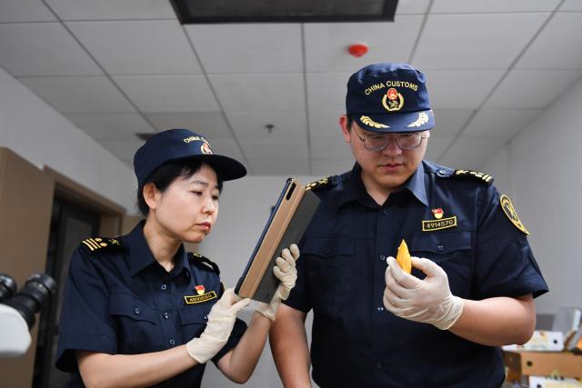 (250529) -- CHANGSHA, May 29, 2025 (Xinhua) -- Customs officers conduct on-site inspections on imported Bangladeshi mangoes at Changsha Huanghua International Airport in Changsha, central China's Hunan Province, May 28, 2025. A shipment of three tonnes of fresh mangoes from Bangladesh arrived in Changsha on Wednesday night, marking China's first import of mangoes from Bangladesh.
  Upon arrival, customs officers at Changsha Huanghua International Airport promptly verified shipping labels, phytosanitary certificates, and conducted on-site inspections of the packaging and fruit appearance. The shipment was later cleared with no abnormalities found. (Xinhua/Chen Zhenhai)