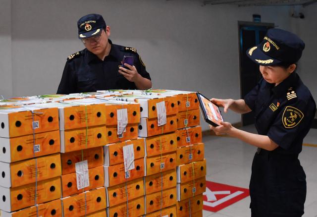(250529) -- CHANGSHA, May 29, 2025 (Xinhua) -- Customs officers verify shipping labels of imported Bangladeshi mangoes at Changsha Huanghua International Airport in Changsha, central China's Hunan Province, May 28, 2025. A shipment of three tonnes of fresh mangoes from Bangladesh arrived in Changsha on Wednesday night, marking China's first import of mangoes from Bangladesh.
  Upon arrival, customs officers at Changsha Huanghua International Airport promptly verified shipping labels, phytosanitary certificates, and conducted on-site inspections of the packaging and fruit appearance. The shipment was later cleared with no abnormalities found. (Xinhua/Chen Zhenhai)