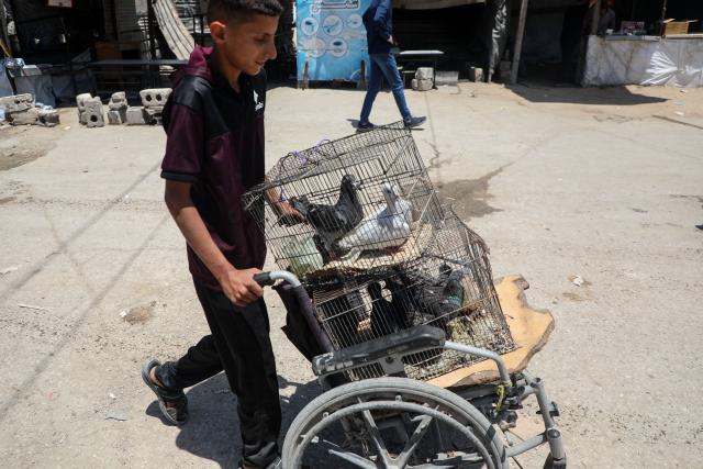 (250531) -- GAZA, May 31, 2025 (Xinhua) -- A displaced Palestinian walks on a street in Jabalia refugee camp, as he flees with his belongings from Jabalia area in northern Gaza Strip to central and western Gaza City, on May 30, 2025. (Photo by Rizek Abdeljawad/Xinhua)