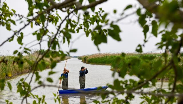 (250614) -- YANCHENG, June 14, 2025 (Xinhua) -- Gu Jialin (R) and his colleague patrol at the Jiangsu Yancheng Wetlands and Rare Birds National Nature Reserve in Yancheng, east China's Jiangsu Province, June 6, 2025. Gu Jialin, 27, is the head of the Tinghu management station under the reserve's administration office. He is in charge of wetland conservation and management. The Jiangsu Yancheng Wetlands and Rare Birds National Nature Reserve is located on the coast of the Yellow Sea. It serves as a sanctuary for rare and endangered wildlife, particularly the red-crowned crane, and protects the vital tidal wetland ecosystem on which these animals depend. 
  Here, a dedicated group of young professionals work tirelessly in wildlife rescue, ecological monitoring, and the management of wetlands. With passion and expertise, they safeguard both the animals and their habitats. (Xinhua/Yang Guanyu)