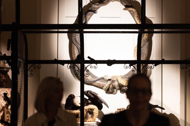 (250617) -- AMSTERDAM, June 17, 2025 (Xinhua) -- People visit the Art Zoo Museum in Amsterdam, the Netherlands, on June 17, 2025. The museum, which blends taxidermy with fine art, opened to the public on June 26, 2025. (Photo by Sylvia Lederer/Xinhua)