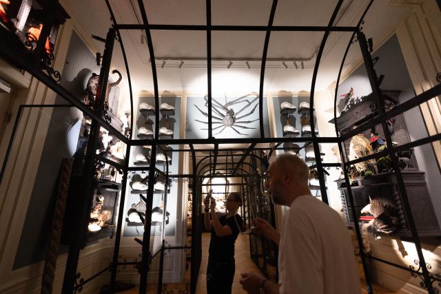 (250617) -- AMSTERDAM, June 17, 2025 (Xinhua) -- People visit the Art Zoo Museum in Amsterdam, the Netherlands, on June 17, 2025. The museum, which blends taxidermy with fine art, opened to the public on June 26, 2025. (Photo by Sylvia Lederer/Xinhua)