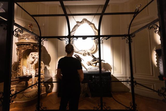 (250617) -- AMSTERDAM, June 17, 2025 (Xinhua) -- A person visits the Art Zoo Museum in Amsterdam, the Netherlands, on June 17, 2025. The museum, which blends taxidermy with fine art, opened to the public on June 26, 2025. (Photo by Sylvia Lederer/Xinhua)