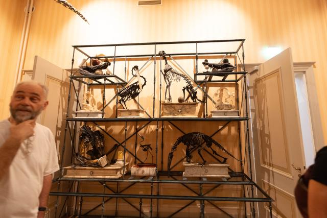 (250617) -- AMSTERDAM, June 17, 2025 (Xinhua) -- A man visits the Art Zoo Museum in Amsterdam, the Netherlands, on June 17, 2025. The museum, which blends taxidermy with fine art, opened to the public on June 26, 2025. (Photo by Sylvia Lederer/Xinhua)
