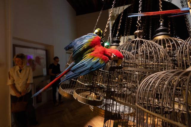 (250617) -- AMSTERDAM, June 17, 2025 (Xinhua) -- People visit the Art Zoo Museum in Amsterdam, the Netherlands, on June 17, 2025. The museum, which blends taxidermy with fine art, opened to the public on June 26, 2025. (Photo by Sylvia Lederer/Xinhua)